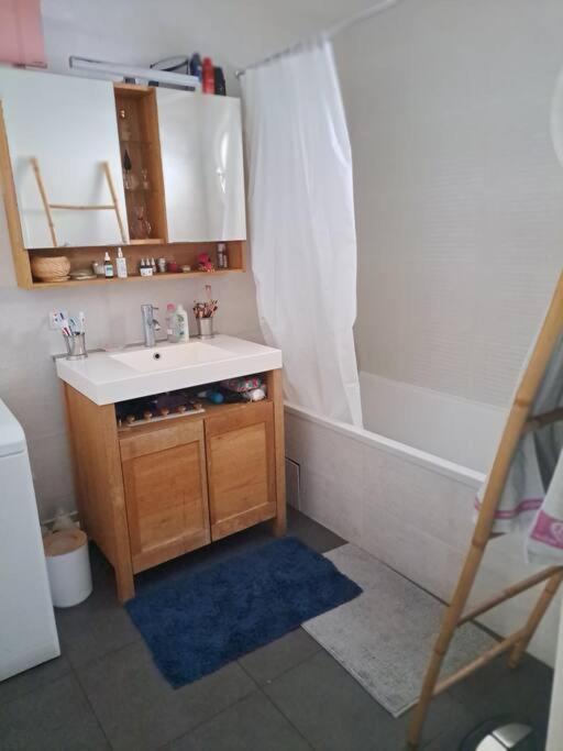 Appartement Cosy Avec Jardin Et Parking Gennevilliers Luaran gambar